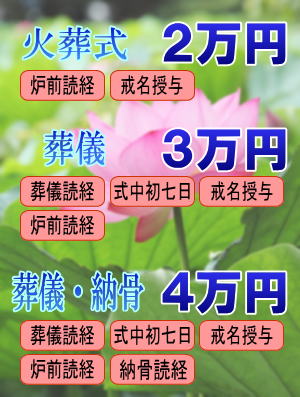 �����ی�󋋒����Ōo�ϓI�ɂ����S��������ւ̉���ł̂��z�{