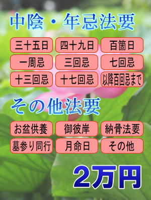 �����ی�󋋒����Ōo�ϓI�ɂ����S��������ւ̉���Ŋe��@�v�̂��z�{