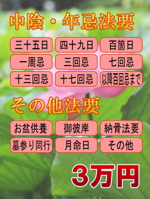 �N����@�v�A���̑��̖@�v�A����ł̂��z�{